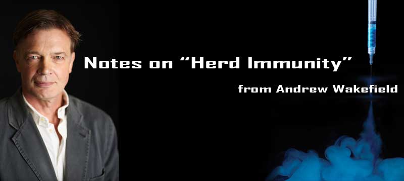 Notes-on-herd-immunity